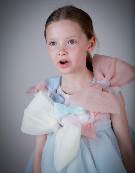 CAMERON DRESS  image 2