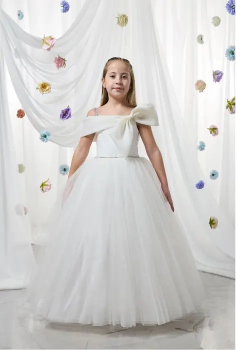 Evening Dress 2273 image 0