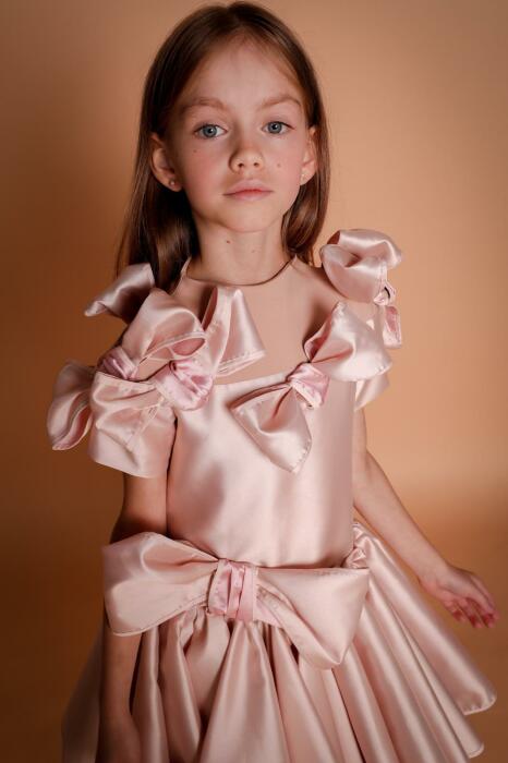 Cha Cha Cha Dress image 1