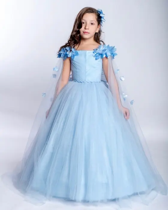 Dress 2233 image 2