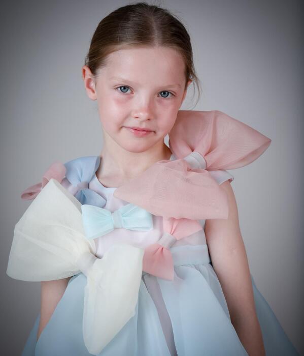 CAMERON DRESS  image 1