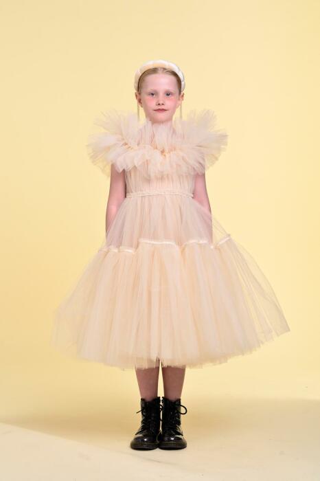 Shoshana Dress image 3