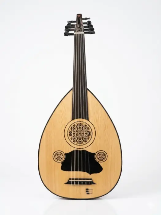 OUD-250-ELECTRIC image 0