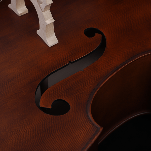 MB040E contrabass image 1