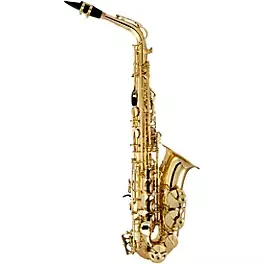 Alto Sax Saxophone image 0
