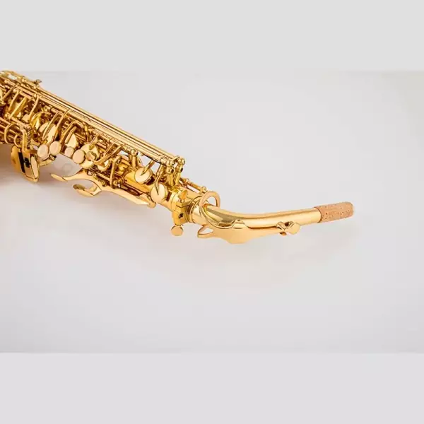 Alto Sax Saxophone image 2