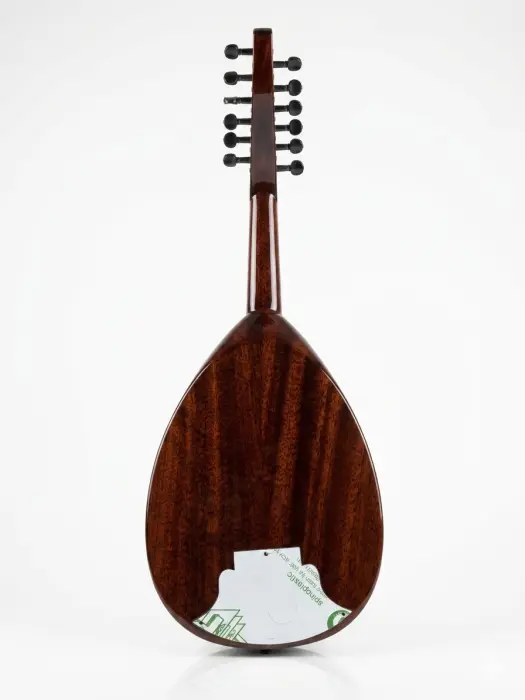 OUD-250-ELECTRIC image 1