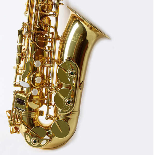JBAS-200 Jinbao Alto Saxophone  image 1