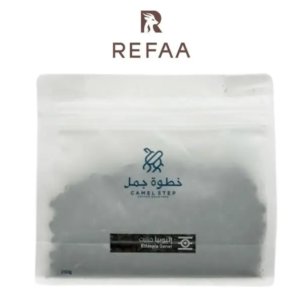خطوة جمل اثيوبيا جينيت image 0