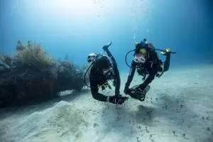 الغوص ضد النفايات image 0