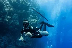 غواص التثبيت الجانبي image 0