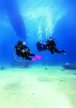 مدرب التخصصات image 0