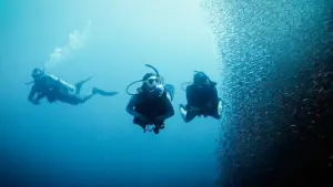 غواص اعماق image 0