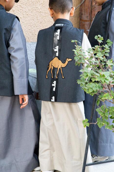Camel Vest  image 2