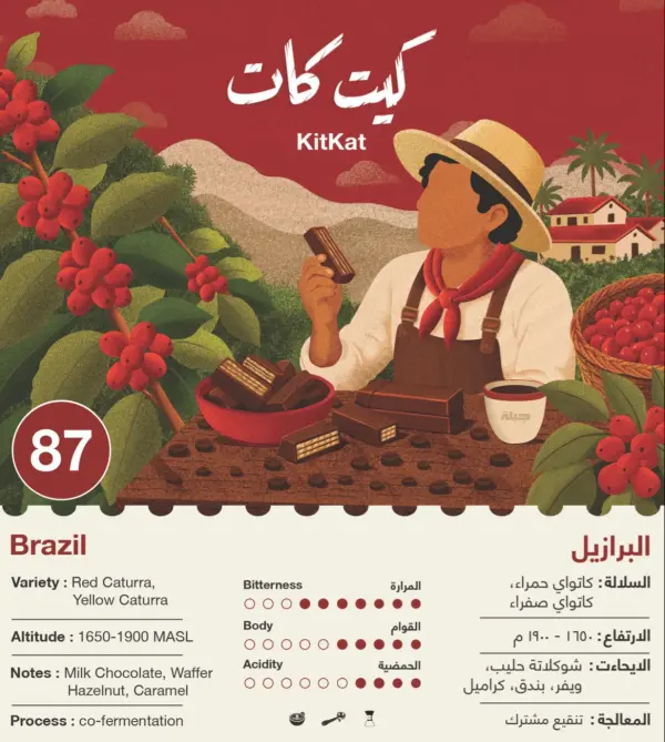 جبلة - كيت كات - البرازيل 250g image 0