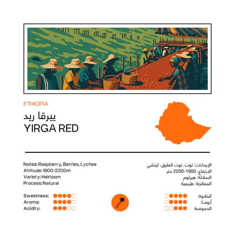 حبوب قهوة اثيوبيا ريد ٢٥٠ جرام image 0