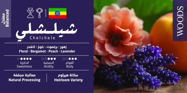 وودز - شيلشيلي اثيوبيا 250g image 1