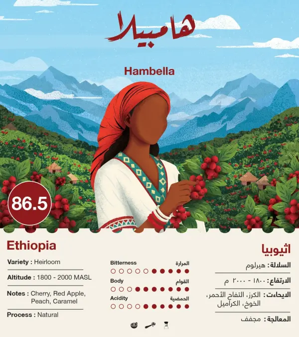 جبلة - هامبيلا - إثيوبيا 250g image 0