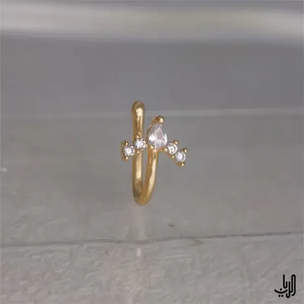 اكسسوار الانف الكريستال الذهبي image 2