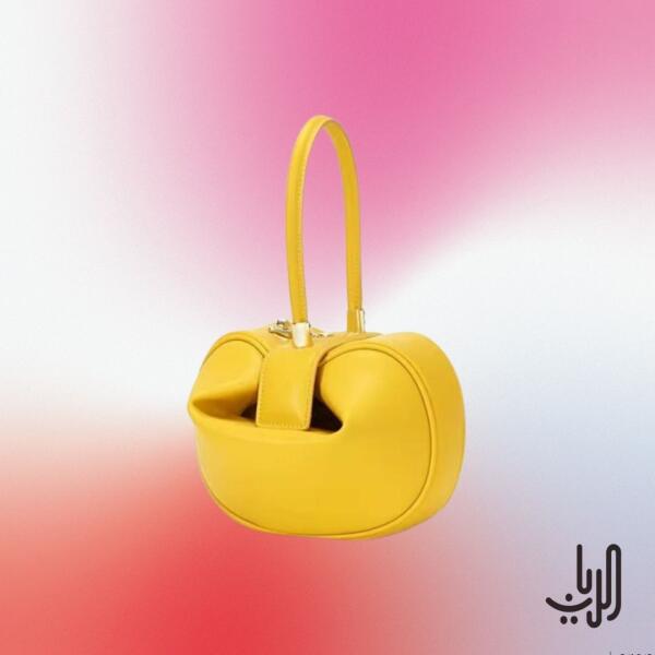 حقيبة يد نسائية صغيرة image 4
