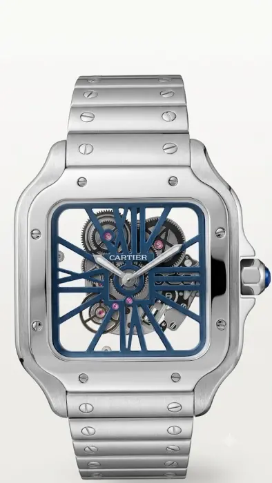 CARITER SANTOS SKELETON (BLUE) - MQ image 0