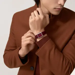 cartier Tank Must de Cartier watch mq image 4