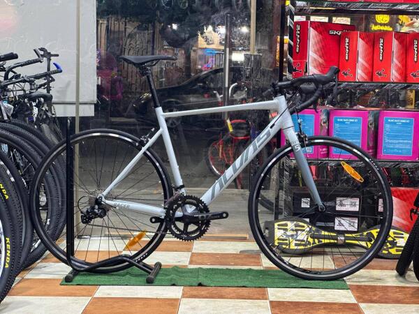 ALVAS RACE-700C image 1