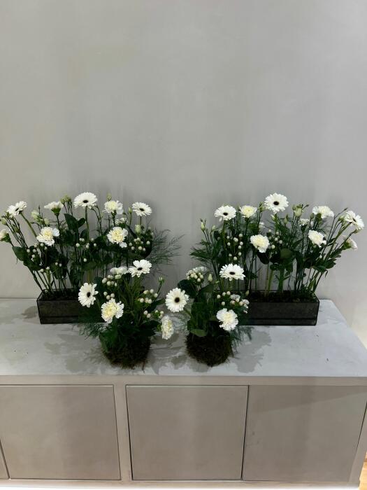 رباعيه الورد image 0