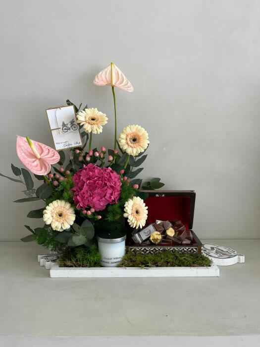 ابتسامه امي image 0