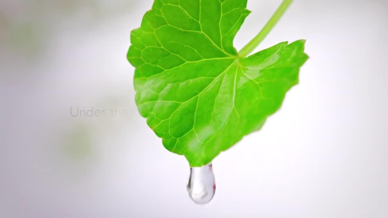 جل سيكا مهدئ مبرد - 150 مل image 3