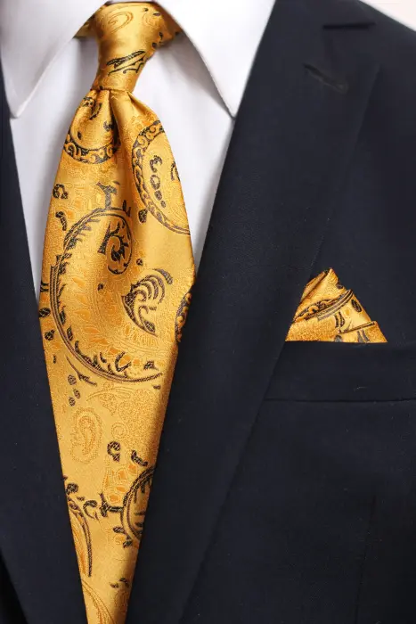 Paisley Scarf And jacquard tie with hanky image 1
