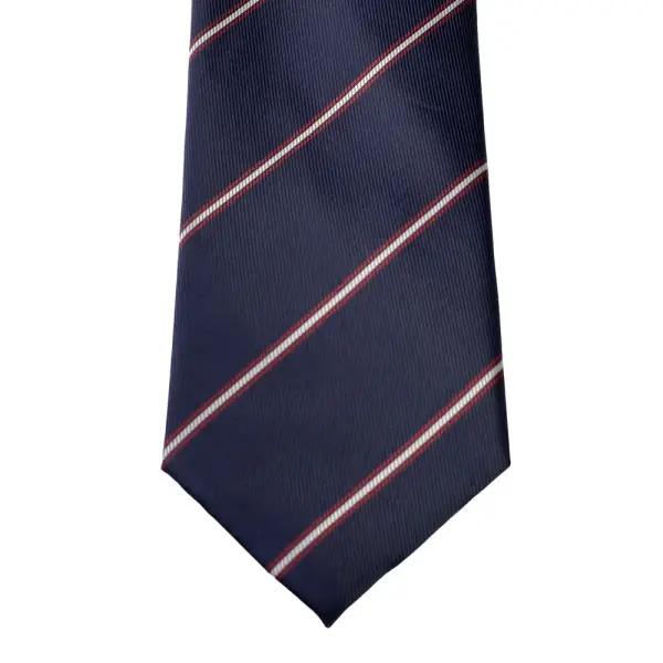 Stripe Jaquard Neck Tie With Hanky Regular 8.5 cm image 1