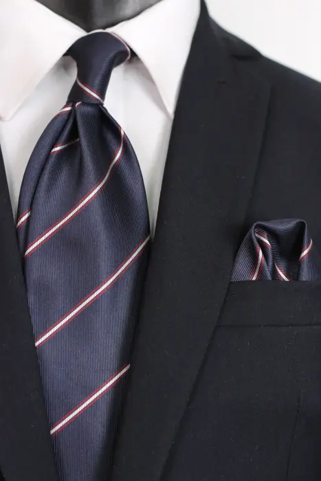Stripe Jaquard Neck Tie With Hanky Regular 8.5 cm image 0