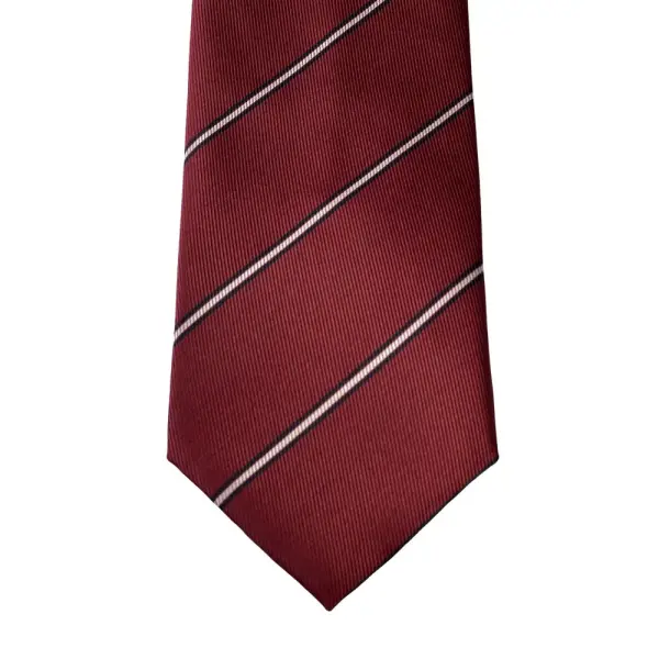 Stripe Jaquard Neck Tie With Hanky Regular 8.5 cm image 9
