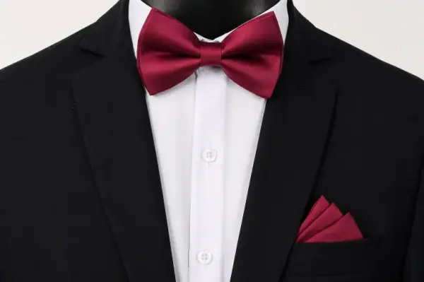 Burgundy Satin Bow Tie image 0