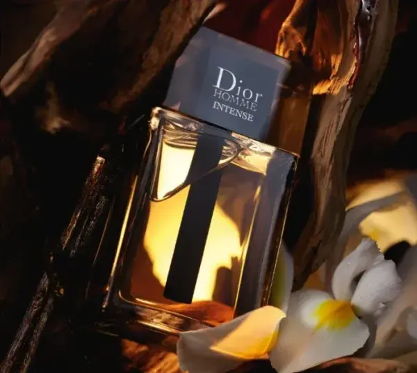 Dior Homme Intense Perfume 100Ml image 1