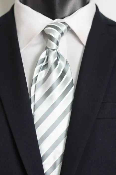 Stripe Jaquard Neck Tie Regular 8.5 cm image 0