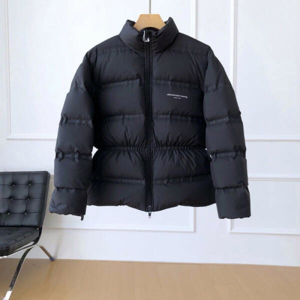 Alexander wang image 0