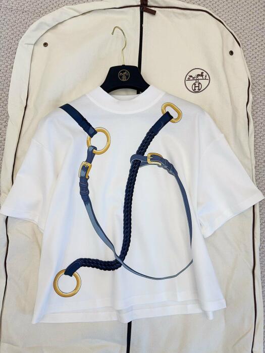 Hermes  image 0