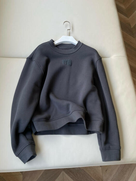Alexander wang image 0