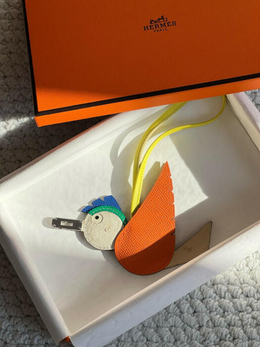 HERMES image 1