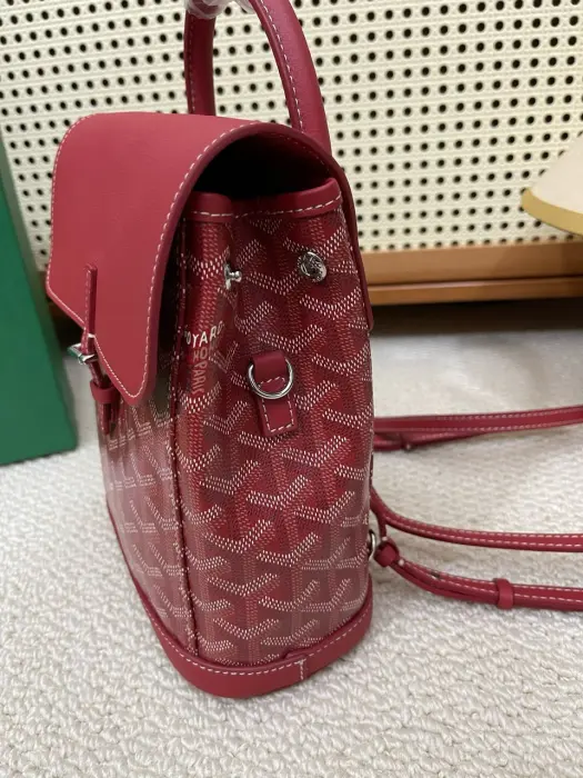 Goyard bag image 7