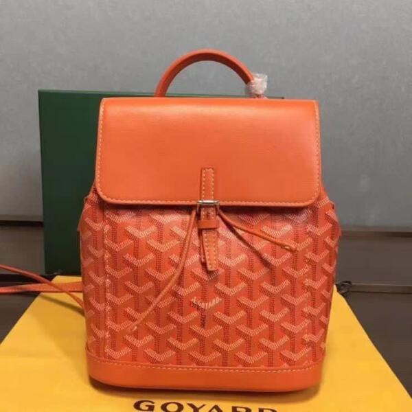 Goyard bag image 0