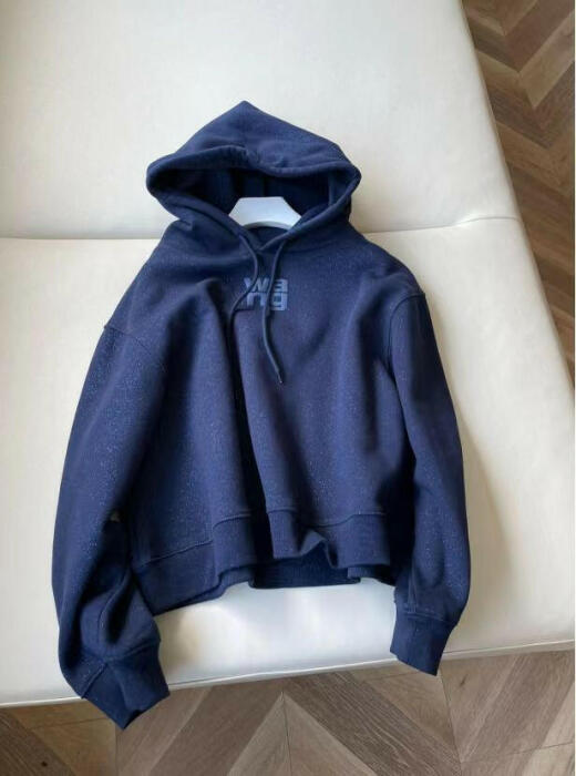 Alexander wang image 0