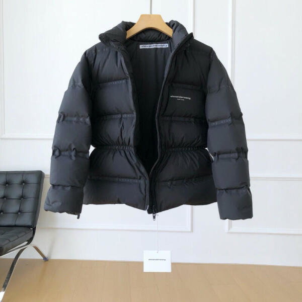 Alexander wang image 2