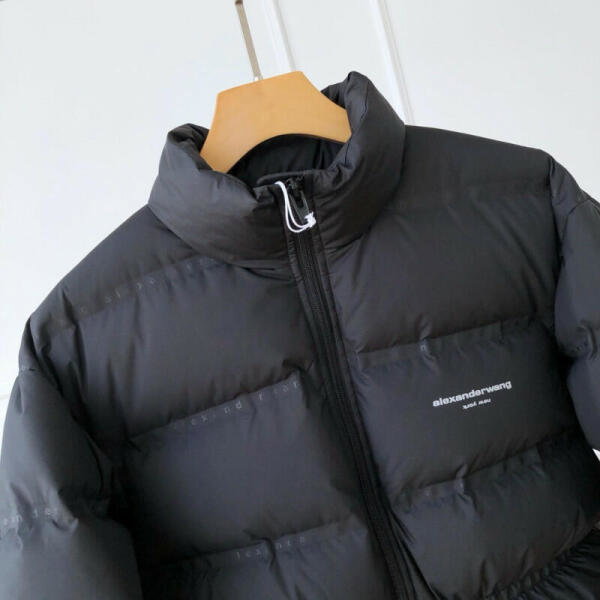 Alexander wang image 3