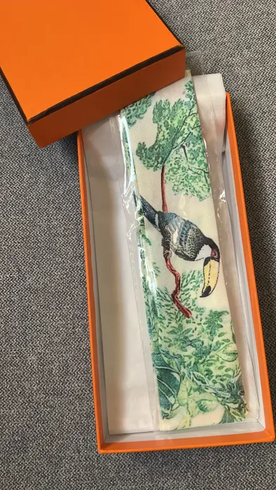 Hermes scarf image 0