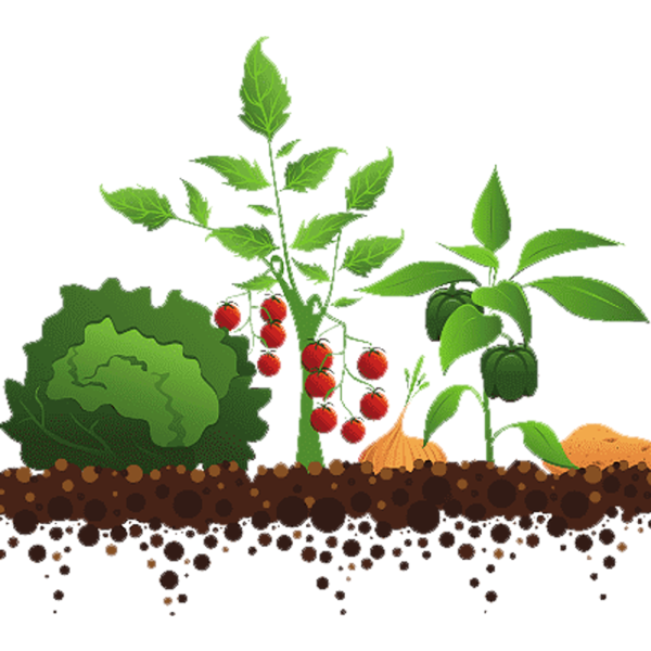 Book an appointment to organize outdoor gardens image 0