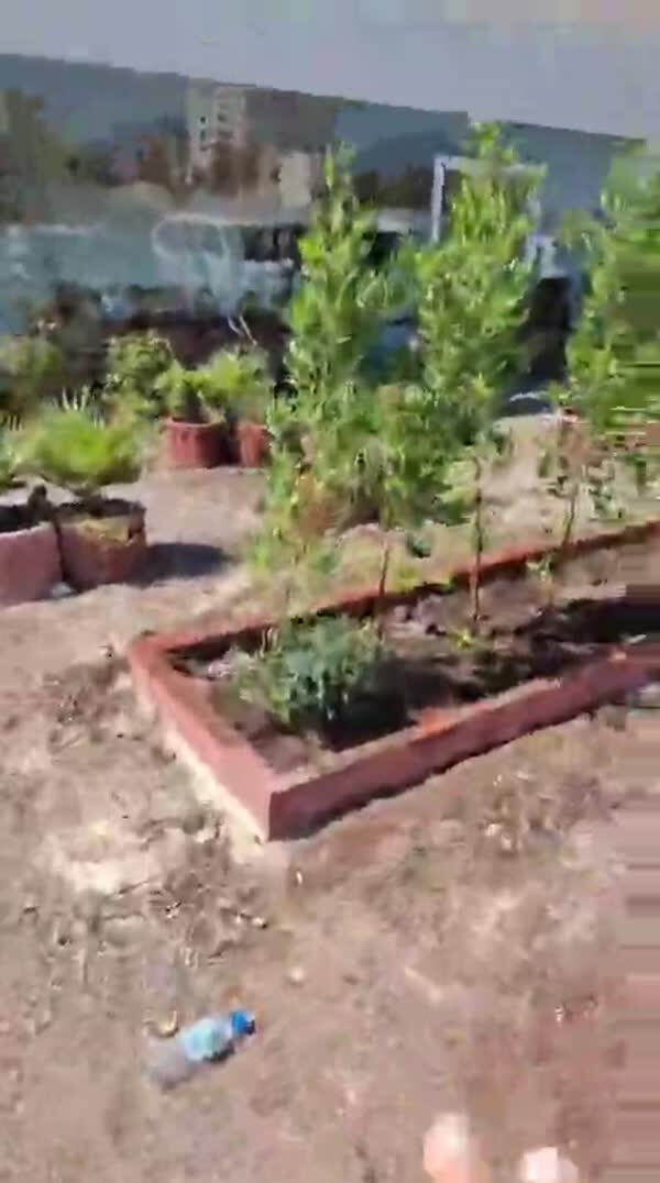 Book an appointment to organize outdoor gardens image 3