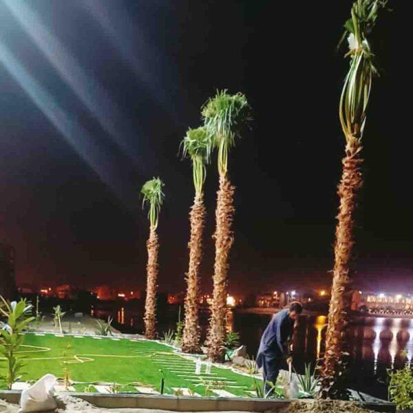 تنظيم الحدائق 3 image 0